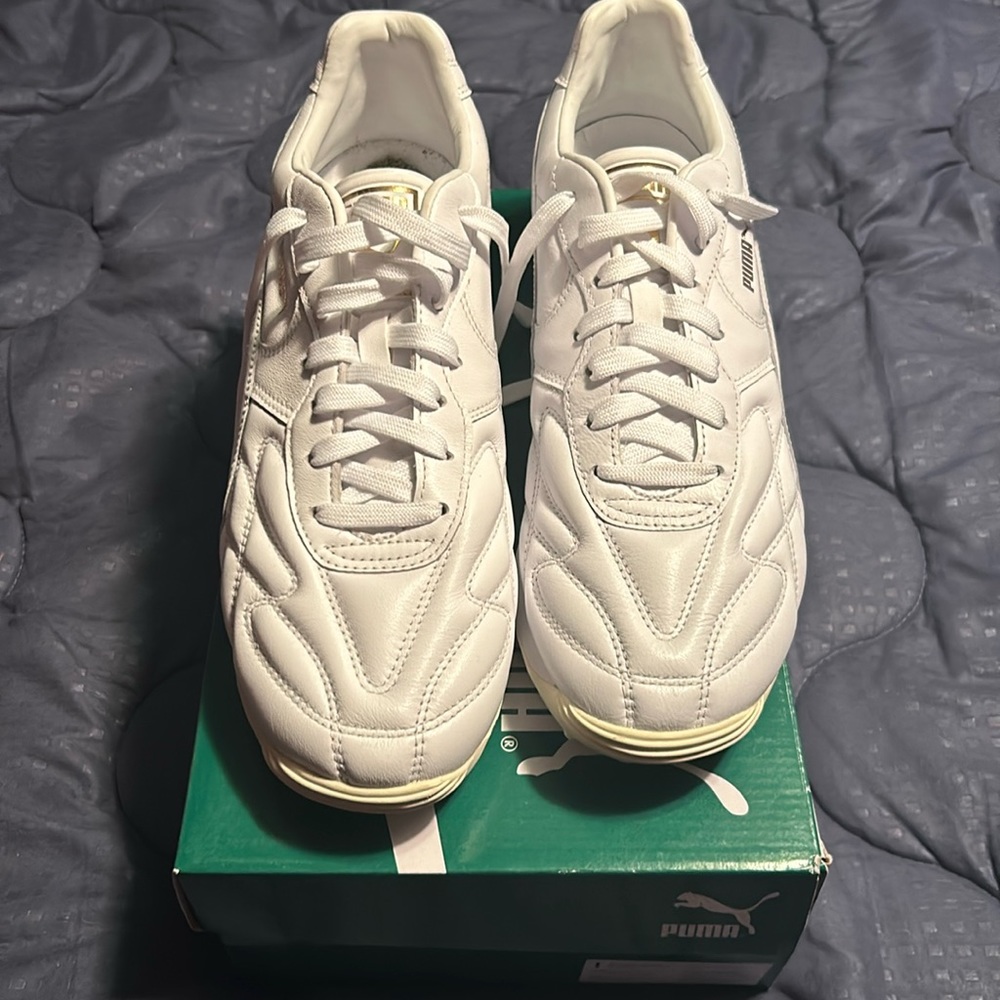 Puma gold